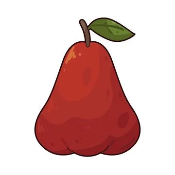 Java Apple illustration Stockillustratie