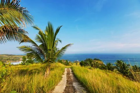 Java beach Klayar beach, Indonesia Java Copyright: xZoonar.com/GalynaxAndr... Stock Photos