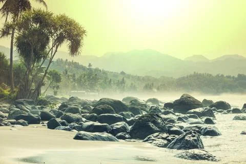 Java beach Tropical beach, Indonesia Java Copyright: xZoonar.com/GalynaxAn... Stock Photos