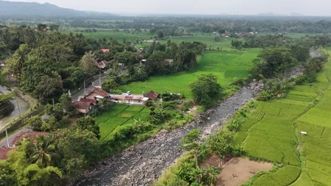 Java Countryside. River, Rice Fields, Drone Aerial View. Stock Footage 338367643