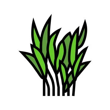 Java fern color icon vector illustration Stock-Illustration
