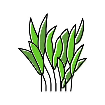 Java fern color icon vector illustration Stock-Illustration