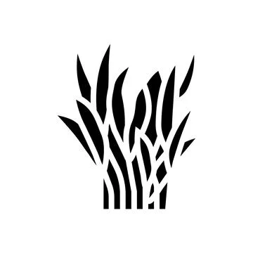 Java fern glyph icon vector illustration Illustration