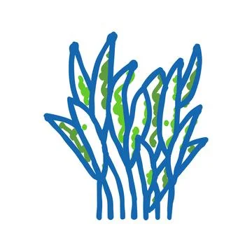 Java fern icon doodle illustration Stock Illustration
