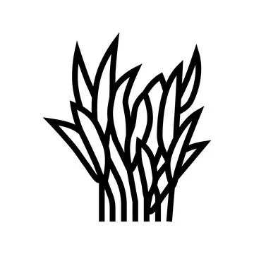 Java fern line icon vector illustration Illustration