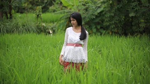 Java Girl Pose in the Paddy Fields Stock Footage 125180002