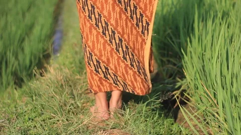 Java Girl Walking Through the Field Stock Footage 113072416