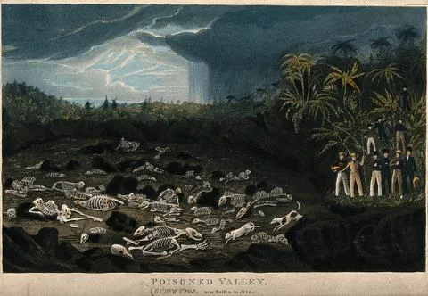 Java: human skeletons lying in a valley poisoned by volcanic gases, being w.. Stock-Illustration