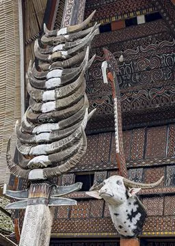 Java, Indonesia, June 13, 2022 - Bulls head and horns mounted on the front of a Stock-Fotos