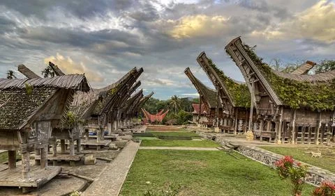 Java, Indonesia, June 13, 2022 - Toraja homes all follow the same rigid design 스톡 사진
