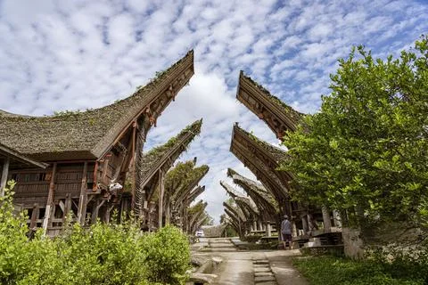 Java, Indonesia, June 13, 2022 - Toraja homes all follow the same rigid design 스톡 사진