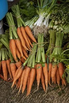 Java, Indonesia, June 13, 2022 - Bunches of carrots and green onions for sale at Stock-Fotos