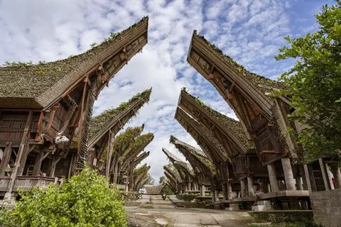 Java, Indonesia, June 13, 2022 - Toraja homes all follow the same rigid design 스톡 사진