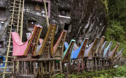 Java, Indonesia, June 13, 2022 - Toraja homes all follow the same rigid design 스톡 사진
