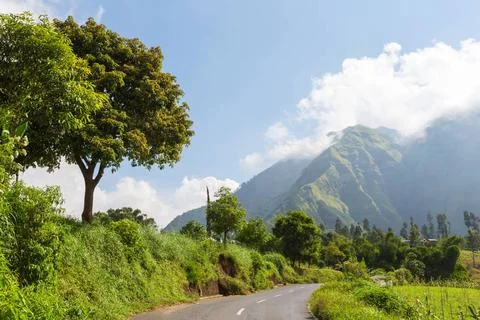 Java landscapes Java landscapes Copyright: xZoonar.com/GalynaxAndrushkox 1... Stock-Fotos