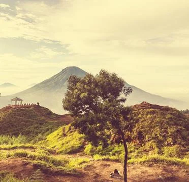 Java landscapes Java landscapes Copyright: xZoonar.com/GalynaxAndrushkox 6... Stock-Fotos