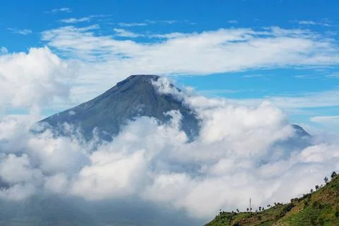 Java landscapes Java landscapes Copyright: xZoonar.com/GalynaxAndrushkox 6... Stock-Fotos