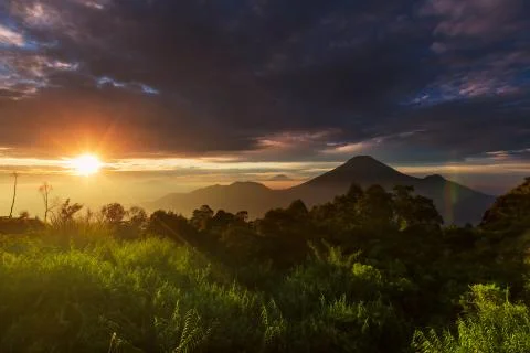 Java landscapes Stock Photos