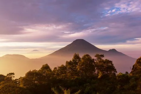 Java landscapes Stock Photos