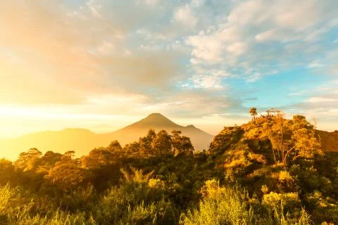 Java landscapes Stock Photos