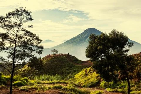 Java landscapes Stock Photos