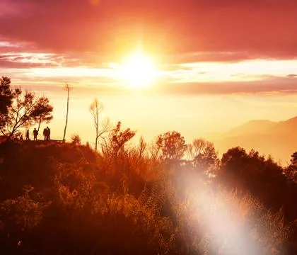 Java landscapes Stock Photos