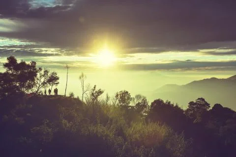 Java landscapes Stock Photos