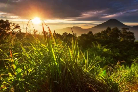 Java landscapes Foto stock