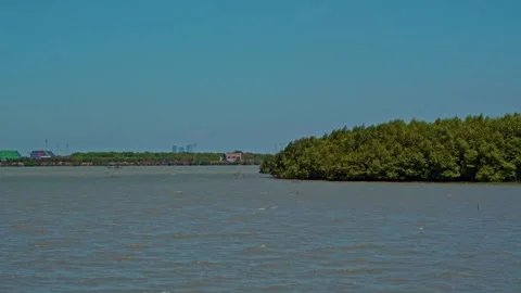 Java Mangrove Forest Ecosystem Scenic Coastal Nature Landscape Views Stock Footage 345871487