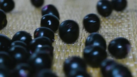 Java plum fruits dropped down 4k short Video stock 252207159