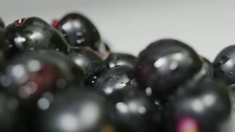 Java plum Fruits or Indian blackberry Fruits in a Bowl 4k Video stock 252206806