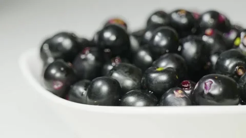 Java plum Fruits to white back ground 4k Short Video stock 252206926