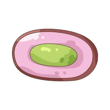 Java plum Ilustración de archivo