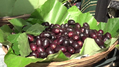 Java plum, Indian blackberry at Mumbai street marketplace  Video stock 310791159