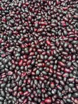 Java plum Stock Photos