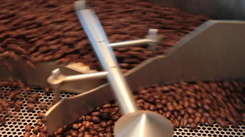 Java: Roasted Coffee Beans in Cooling Cycle Stock Footage 37256127