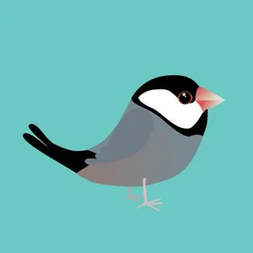 Java sparrow Stock Illustration