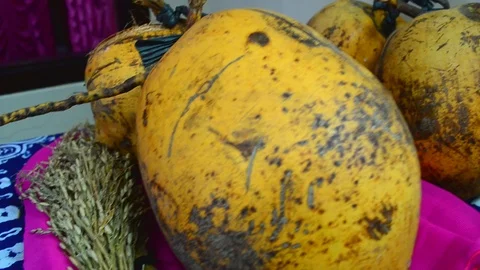 Java wedding ritual coconut Stock Footage 120914592