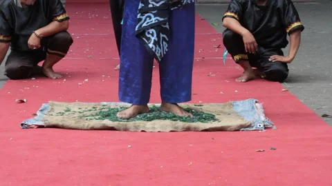 Javanese glass walking Vídeo Stock 289676712