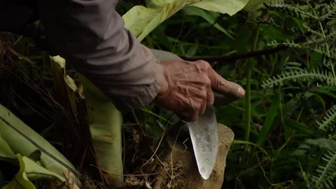 Javanese man is sharpening his sickle with a sharpening stone Vidéo 348238439