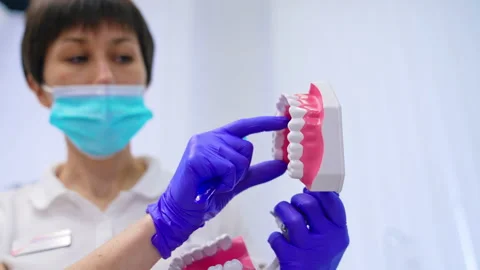 Jaw model in dentist's hands. Professional female stomatologist teaching teeth  Stock Footage 152034724