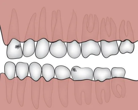 Jaw vector 스톡 일러스트