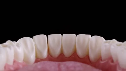 Jaws open and close Stock Footage 139684467