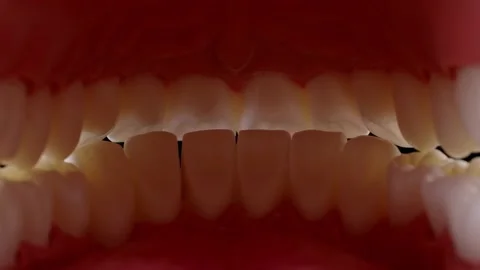 Jaws opening inside view 25 fps Vidéo 139684631