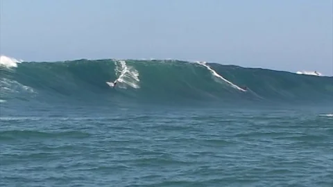 Jaws30 Stock Footage 80544920