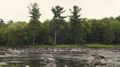 Jay Cooke State Park - Duluth Minnesota Stock Footage 86395192