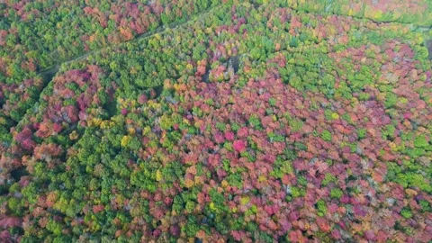 Jay peak foret   golf Stock Footage 252018294