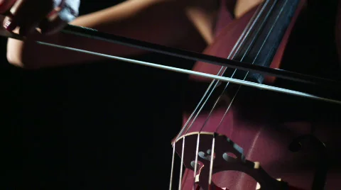 Jazz 16 (4k 16:9 / 29.97) Stock Footage