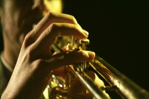 Jazz 24 (480p / 29.97) Stock Footage