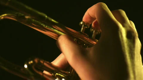 Jazz 32 (4k 16:9 / 29.97) Stock Footage